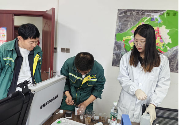 香蕉视频黄在线观看技术指导与操作培训